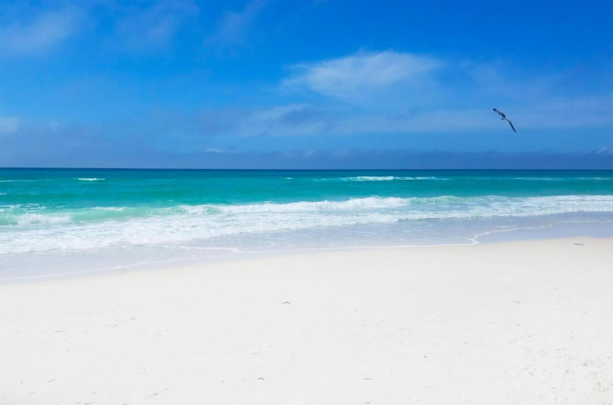 Laguna Beach Breeze Panama City Beach Bagian luar foto
